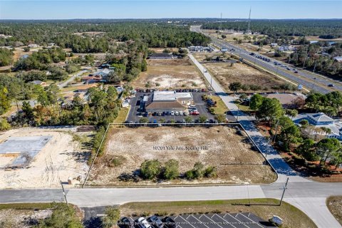 Terreno en venta en Weeki Wachee, Florida № 260859 - foto 4
