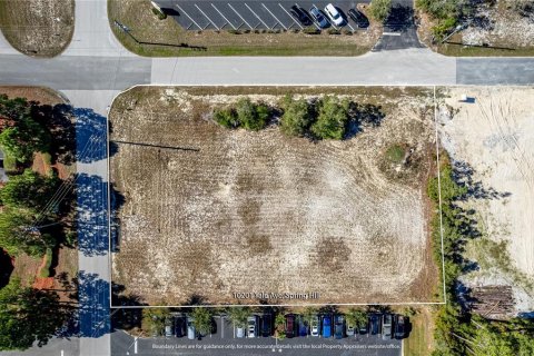 Terreno en venta en Weeki Wachee, Florida № 260859 - foto 8