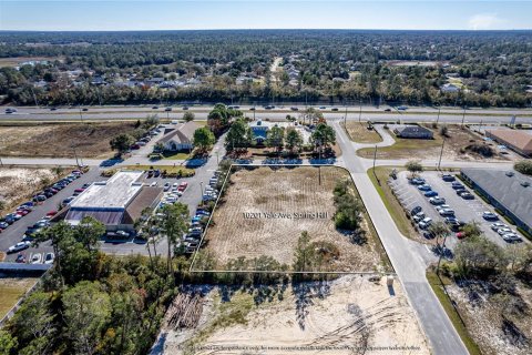 Terreno en venta en Weeki Wachee, Florida № 260859 - foto 13