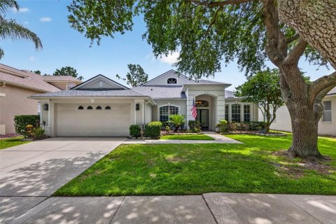 House in Tampa, Florida 4 bedrooms, 268.77 sq.m. № 2157451