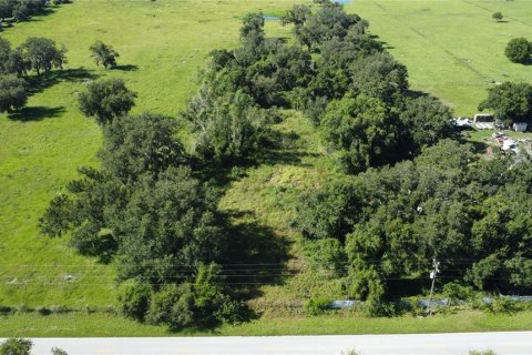 Land in Arcadia, Florida № 1844632 - photo 2