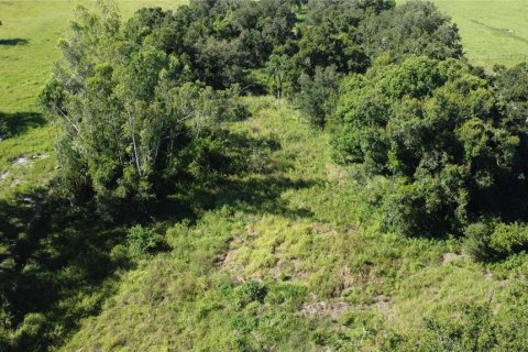 Land in Arcadia, Florida № 1844632 - photo 5