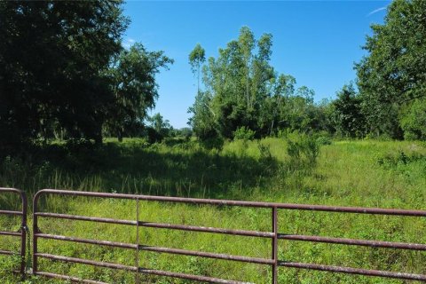 Land in Arcadia, Florida № 1844632 - photo 4