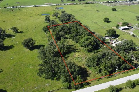 Land in Arcadia, Florida № 1844632 - photo 1