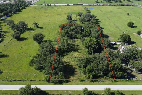 Land in Arcadia, Florida № 1844632 - photo 3