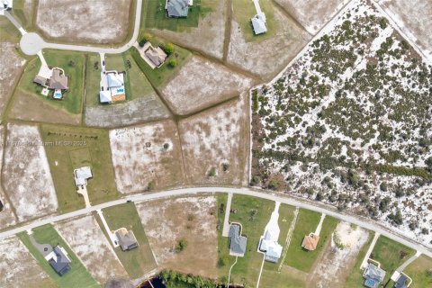 Land in Sebring, Florida № 1961922 - photo 18