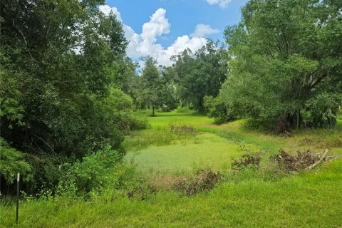 House in Lakeland, Florida 3 bedrooms, 175.4 sq.m. № 2391525 - photo 23