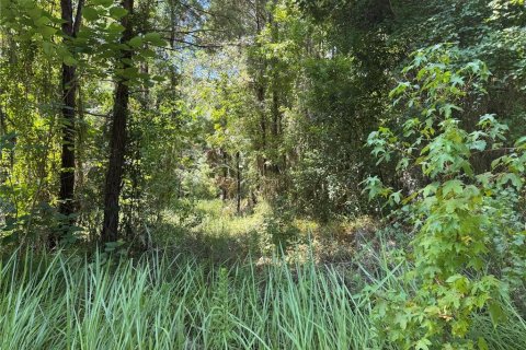 Terrain à vendre à Ocala, Floride № 2224703 - photo 6