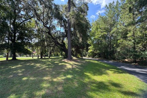 Terrain à vendre à Ocala, Floride № 2224703 - photo 5