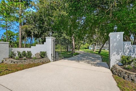 Villa ou maison à vendre à Bradenton, Floride: 4 chambres, 479 m2 № 2399410 - photo 3