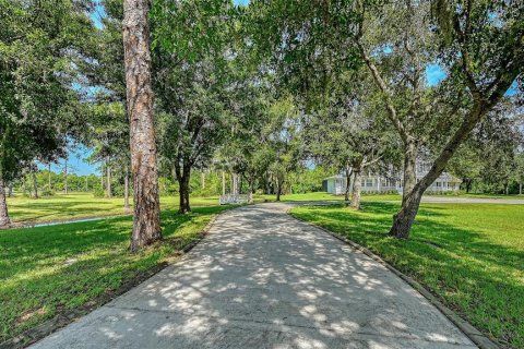 Villa ou maison à vendre à Bradenton, Floride: 4 chambres, 479 m2 № 2399410 - photo 7