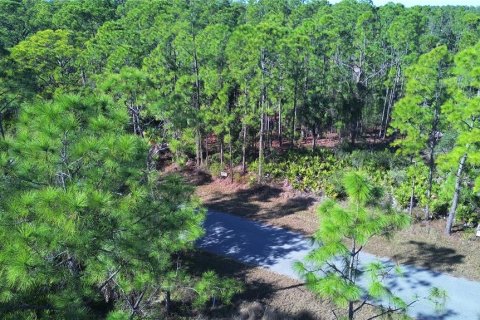 Land in Port Charlotte, Florida № 2161337 - photo 16