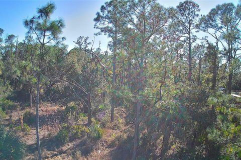 Land in Port Charlotte, Florida № 2161337 - photo 6