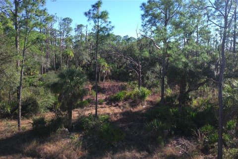 Land in Port Charlotte, Florida № 2161337 - photo 10