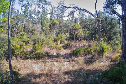 Land in Port Charlotte, Florida № 2161337 - photo 5
