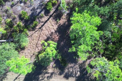 Land in Port Charlotte, Florida № 2161337 - photo 13