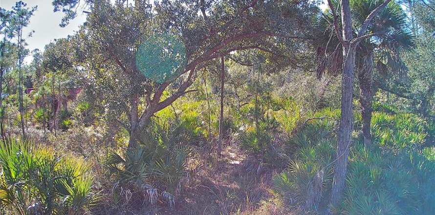 Land in Port Charlotte, Florida № 2161337