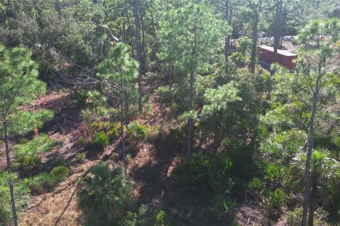 Land in Port Charlotte, Florida № 2161337 - photo 12