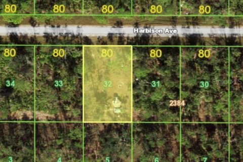 Land in Port Charlotte, Florida № 2161337 - photo 2