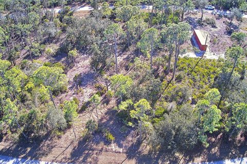 Land in Port Charlotte, Florida № 2161337 - photo 9