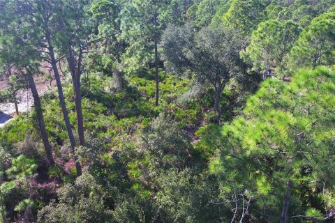 Land in Port Charlotte, Florida № 2161337 - photo 11