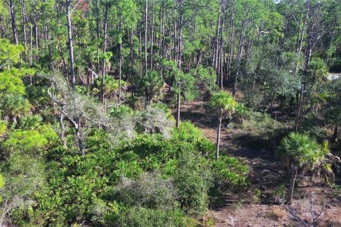 Land in Port Charlotte, Florida № 2161337 - photo 14