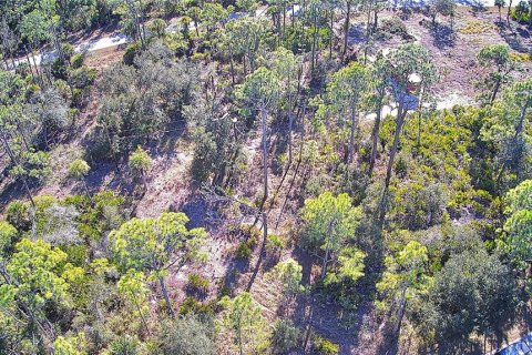 Land in Port Charlotte, Florida № 2161337 - photo 3