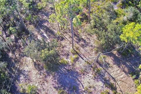 Land in Port Charlotte, Florida № 2161337 - photo 7