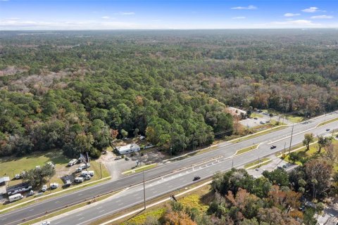 Terreno en venta en Homosassa, Florida № 1283920 - foto 2