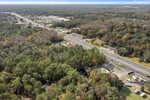 Terreno en venta en Homosassa, Florida № 1283920 - foto 6