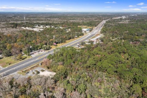 Terreno en venta en Homosassa, Florida № 1283920 - foto 9