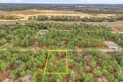Land in Weeki Wachee, Florida № 2160981