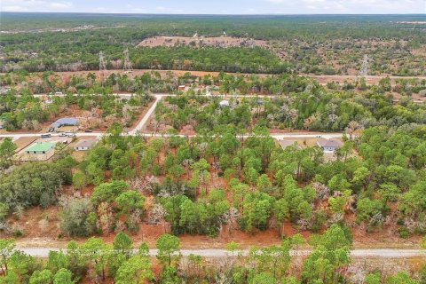 Land in Weeki Wachee, Florida № 2160981 - photo 3