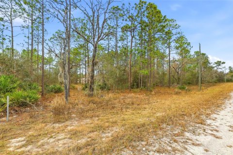 Land in Weeki Wachee, Florida № 2160981 - photo 5