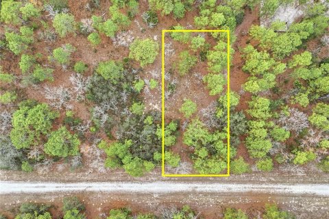 Land in Weeki Wachee, Florida № 2160981 - photo 4