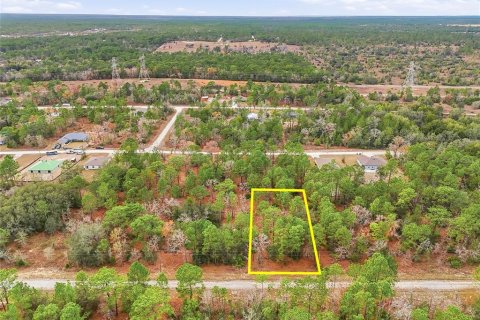 Land in Weeki Wachee, Florida № 2160981 - photo 2