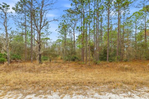 Land in Weeki Wachee, Florida № 2160981 - photo 6