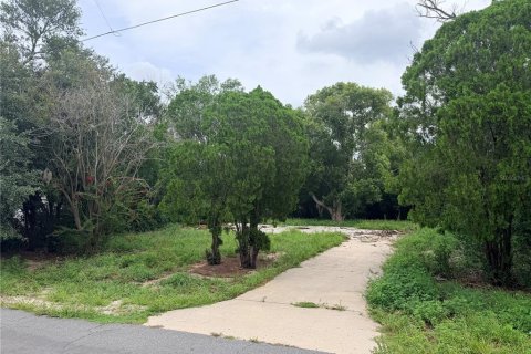 Land in Spring Hill, Florida № 2206982