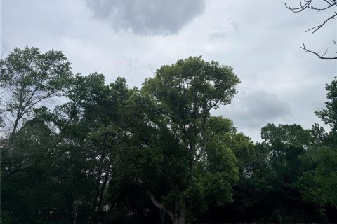 Land in Spring Hill, Florida № 2206982 - photo 3