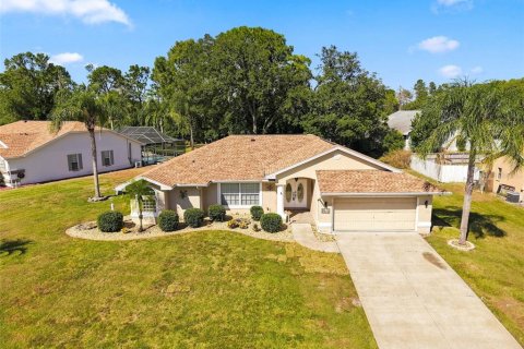 Villa ou maison à Spring Hill, Floride 3 chambres, 178.09 m2 № 2431868