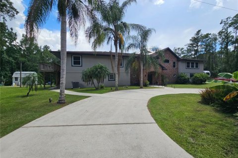 House in Pierson, Florida 5 bedrooms, 501.67 sq.m. № 2204962 - photo 2