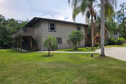 House in Pierson, Florida 5 bedrooms, 501.67 sq.m. № 2204962 - photo 5