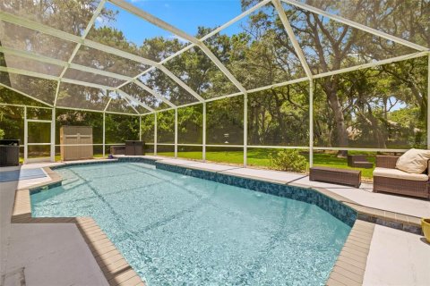 House in Fish Hawk, Florida 4 bedrooms, 399.48 sq.m. № 1653662 - photo 2