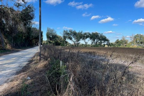 Terrain à vendre à Trenton, Floride № 2122858 - photo 4