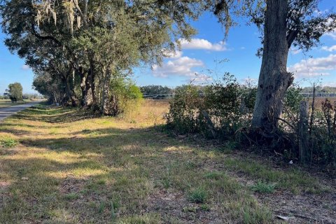Terreno en Trenton, Florida № 2122858