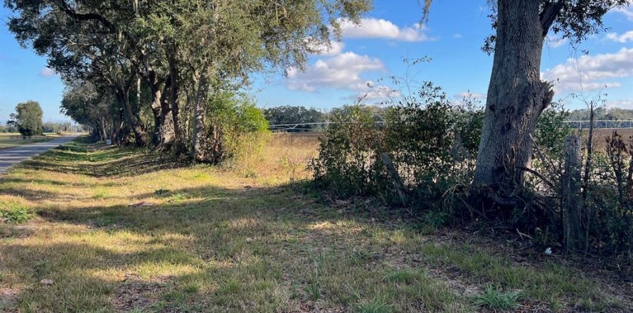 Terrain à Trenton, Floride № 2122858