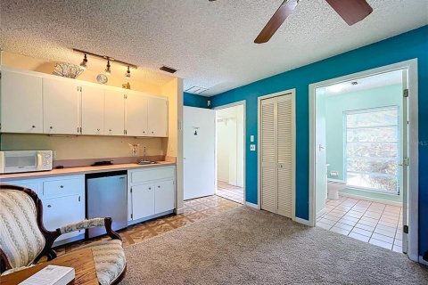 House in Dunedin, Florida 5 bedrooms, 243.78 sq.m. № 1810873 - photo 27