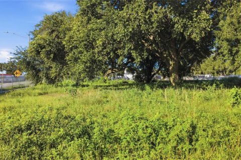 Land in Orlando, Florida № 2379389 - photo 9