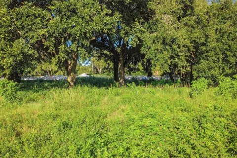 Land in Orlando, Florida № 2379389 - photo 8