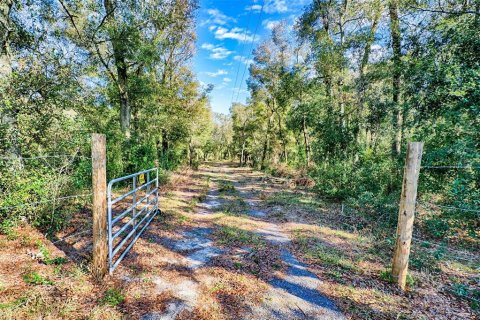 House in Bell, Florida 3 bedrooms, 101.17 sq.m. № 2202231 - photo 23